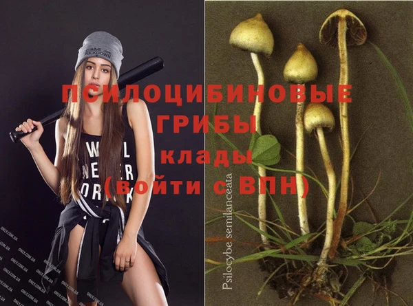 spice Абдулино