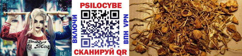 Псилоцибиновые грибы GOLDEN TEACHER  купить наркоту  MEGA   Новопавловск 